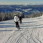 Fjellspa Med Fantastisk Utsikt Og Hoy Standard Holiday home Aurdal