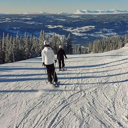 Fjellspa Med Fantastisk Utsikt Og Hoy Standard Semesterbostad Aurdal