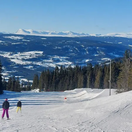 Fjellspa Med Fantastisk Utsikt Og Hoy Standard