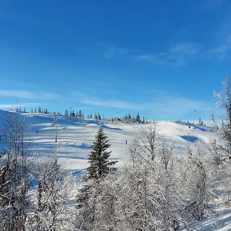 Fjellspa Med Fantastisk Utsikt Og Hoy Standard Semesterbostad Aurdal