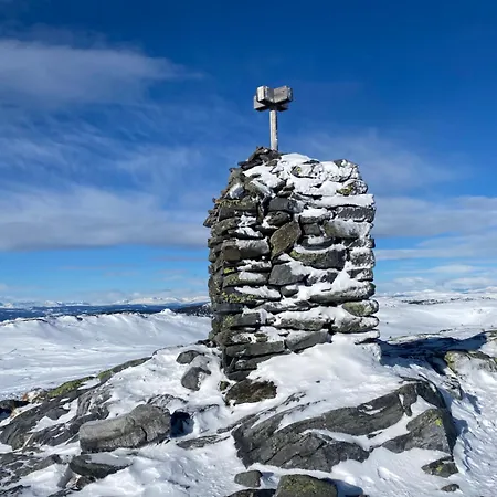 Fjellspa Med Fantastisk Utsikt Og Hoy Standard Semesterbostad Aurdal