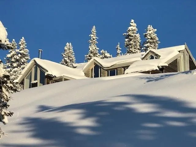 Fjellspa Med Fantastisk Utsikt Og Hoy Standard Semesterbostad Aurdal