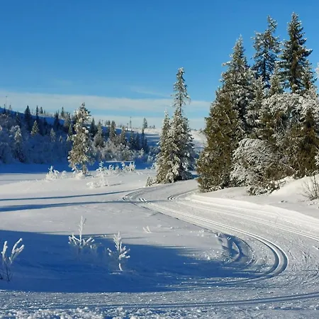 Fjellspa Med Fantastisk Utsikt Og Hoy Standard 펜션