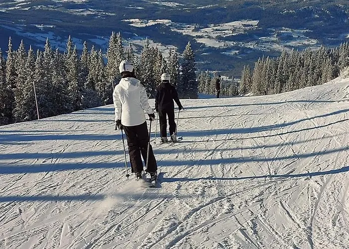 Fjellspa Med Fantastisk Utsikt Og Hoy Standard Holiday home Aurdal