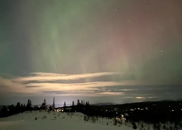 Fjellspa Med Fantastisk Utsikt Og Hoy Standard Holiday home *